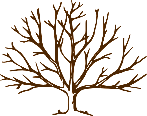 Zimmtree
